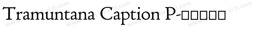 Tramuntana Caption P字体转换